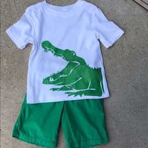 Crazy 8 Alligator Crocodile Green Shorts Ser